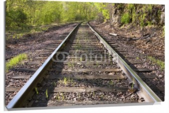 Lienzo Fotomural vias del tren en bosque